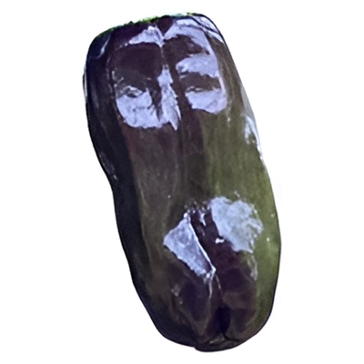 紫苏椒种子特色辣椒高产