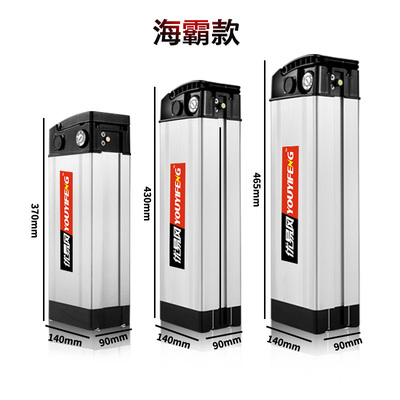 代驾车36v48v60v锂电池优易风