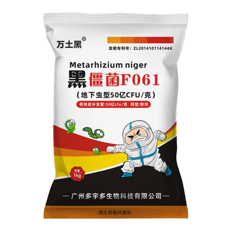 黑僵菌F061绿僵菌金龟子绿僵菌地下害虫生物剂白僵菌