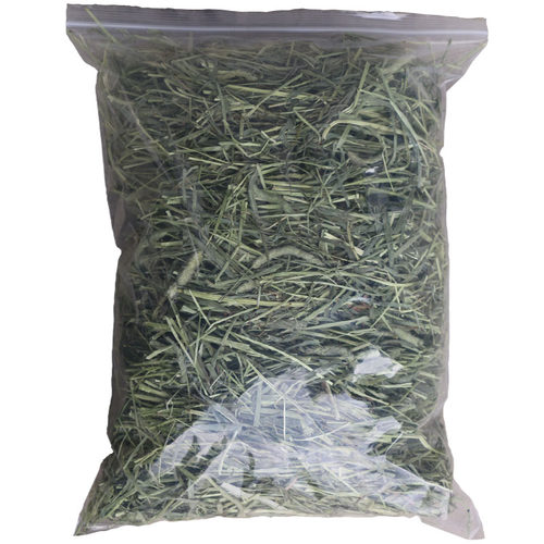 26年晾晒新草优质提摩西草北提龙猫豚鼠兔粮荷兰猪牧草岷县产地发