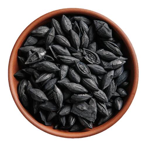 功夫茶煮茶龙眼炭果木炭烧烤围炉煮茶家用无烟叮炭烤火专用龙芽炭