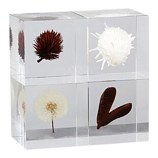 现代轻奢透明亚克力方块蝴蝶摆件样板间植物标本蒲公英树脂装饰品