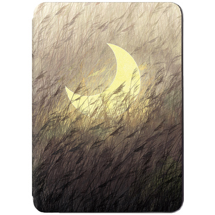 适用掌阅light4 turbo保护壳light4c软壳ireader青春版Neo3套R6002硬壳light2磁吸唤醒light3休眠A6软壳Neo2