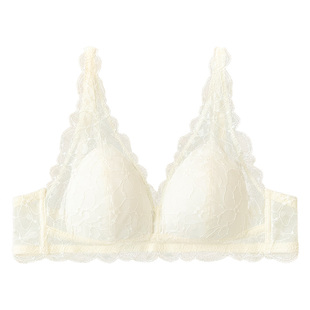 【法式杯】蕾丝内衣女士小胸聚拢显大纯欲风性感文胸2026新款爆款