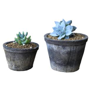 迷你小花盆育苗盆粗陶多肉蕨类复古透气红陶仙人掌陶土专用黑陶