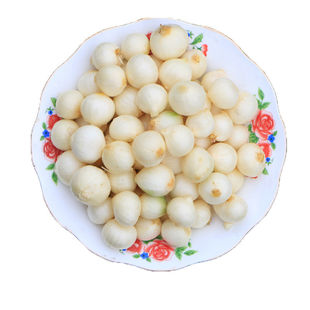 小根蒜种子 山蒜野蒜小葱种子 耐寒性好 家庭庭院栽培蔬菜 四季播