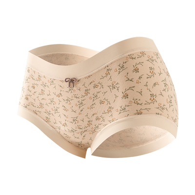 内裤女士纯棉新款10A抗菌三角裤