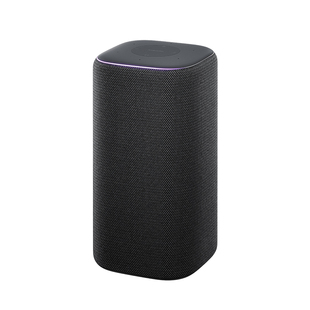 小米智能音箱Pro超级小爱同学2025新款xiaomi蓝牙音响官方上市p家