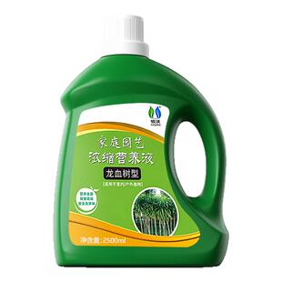 龙血树专用营养液改善叶子发黄枯叶烂根室内阳台庭院盆栽绿植肥料