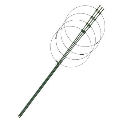 爬藤架花架支撑杆月季铁线莲