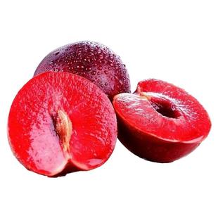 智利进口李子新鲜恐龙蛋当季孕妇水果樱桃李红心血丝李女王凤凰李