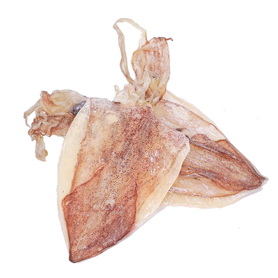 淡干鱿鱼干质优价廉烧烤专用批发