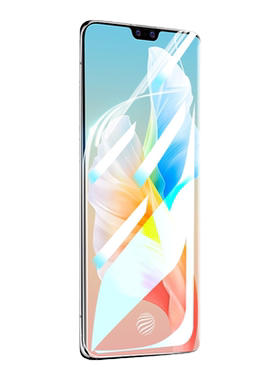 班迪星适用vivos10系列手机膜
