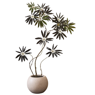 掬涵高端轻奢大型仿真绿植孔雀木客厅摆件仿生假植物落地网红盆栽