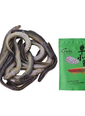 龙虎弘单冻泥鳅条鲜活急冻
