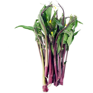 新鲜红菜苔湖北洪山菜苔紫菜苔农家特产红菜心青菜蔬菜红油菜5斤