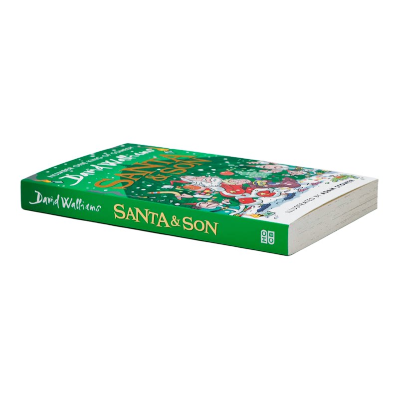 现货 大卫威廉姆斯 圣诞老人与儿子 英文原版 Santa and Son 儿童课外幽默 插图小说 文学故事 英语读物 David Williams 平装