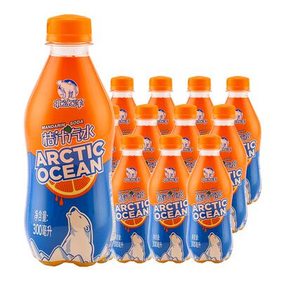 北冰洋桔汁汽水300ml中华老字号