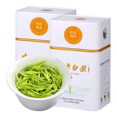 安吉白茶新茶特级明前精品头采芽