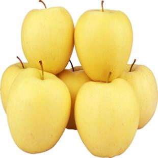 正宗宁夏富硒黄元帅苹果黄蕉青苹果新鲜水果 黄苹果 9斤老幼皆宜