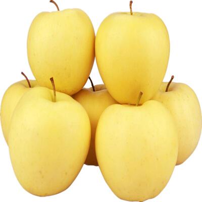 宁夏富硒新鲜黄元帅9斤老幼苹果