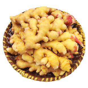 洪道怀姜嫩姜正宗河南焦作新鲜现挖泡姜小黄姜仔姜非老姜云南姜