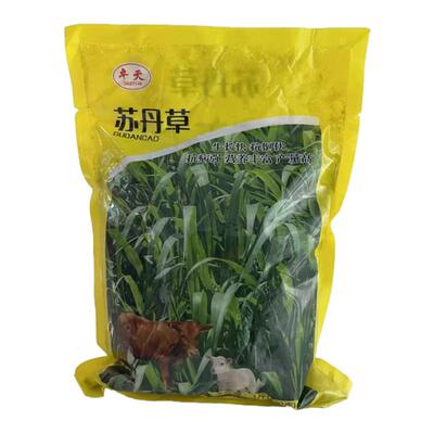 墨西哥玉米草种籽四季牧草喂鱼草