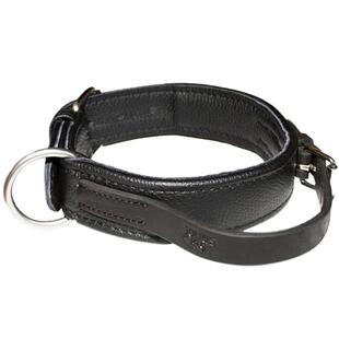 Julius K9金毛萨摩耶哈士奇边牧犬用颈圈项圈牛皮脖圈狗脖套