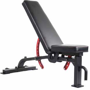 专业哑铃凳商用卧推凳飞鸟凳仰卧板私教训练凳健身凳家用健身器材