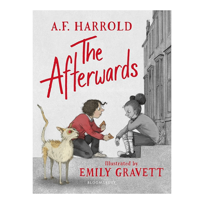 【现货】The Afterwards 后来 英文原版青少年故事阅读 7-12岁进口图书书籍