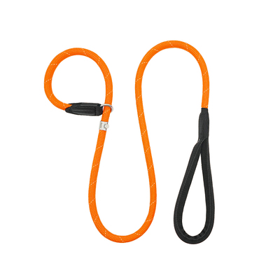 BeauGo训犬p绳p链牵引绳狗绳大型犬小型犬牵引绳宠物遛狗牵引绳