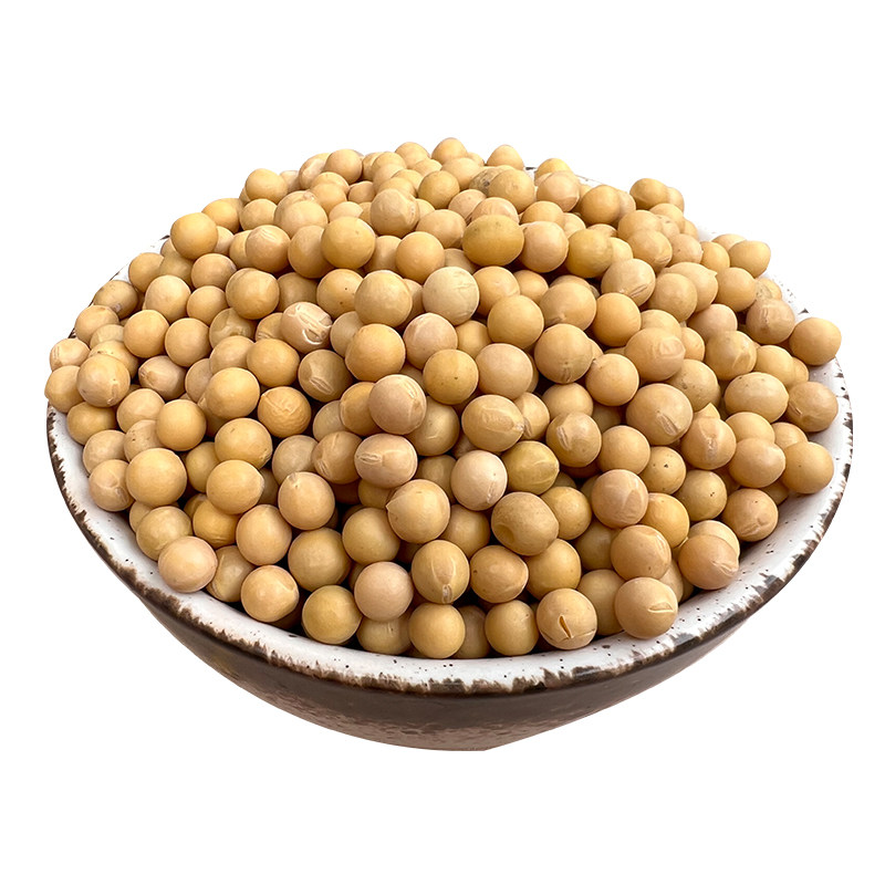 1kg东北黑龙江黄豆打豆浆发豆芽