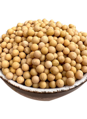 1kg东北黑龙江黄豆打豆浆发豆芽