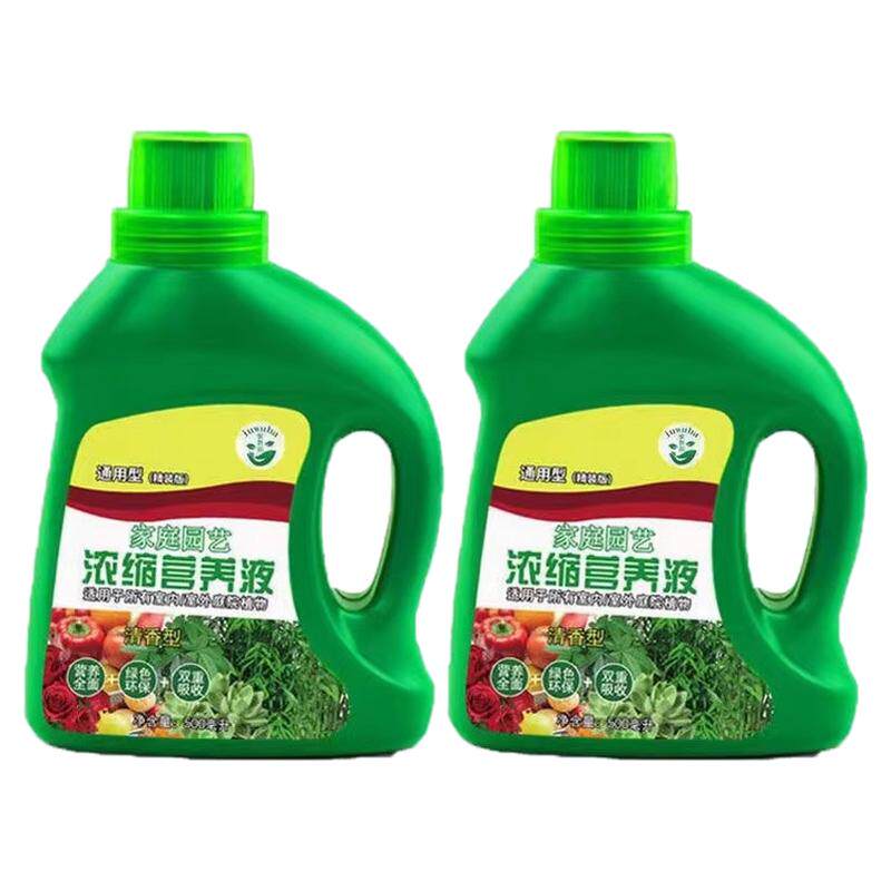 绿植盆栽绿萝叶黄富贵竹