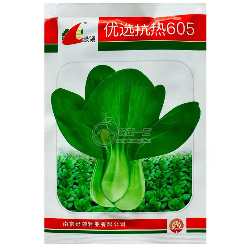中江抗热青梗菜种子耐高温250克