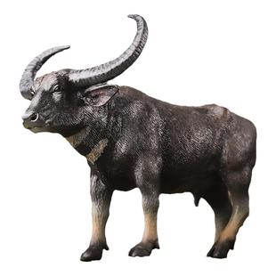 儿童玩具仿真动物塑胶实心河水牛模型奶牛小牛犊麝牛启蒙认知摆件