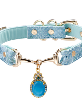 PUPPYRIDER蓝晶蛇纹项圈choker