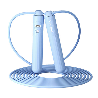 计数钢丝跳绳儿童中小学生考试