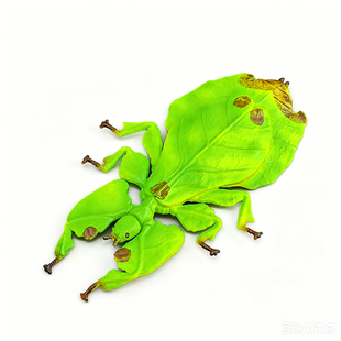 实心儿童仿真昆虫玩具动物模型叶䗛叶子虫竹节虫拟态认知礼品摆件