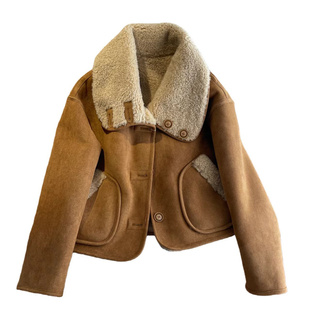 粉紫麂皮绒皮毛一体短外套女秋冬季新款两面穿羊羔毛内胆棉衣棉服