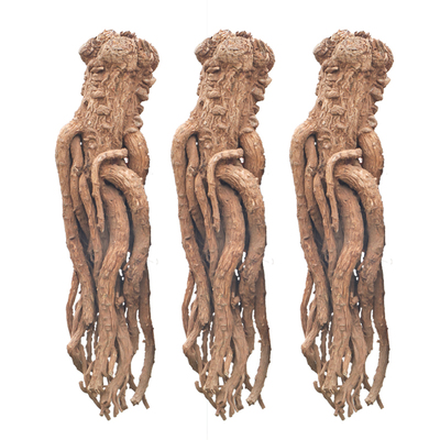 甘肃岷县全当归整枝500克正品