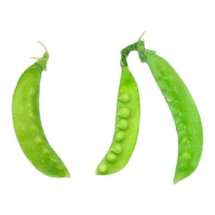 紫荷兰豆种子紫荚甜脆豌豆老品种四季菜豆春秋四季农家蔬菜种孑