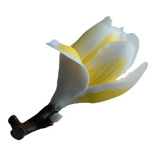 彩集堂 手捏玉兰花香插小摆件 雅物笔搁陶瓷手工花朵茶室装饰茶玩