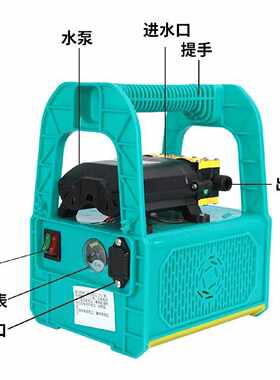 双核泵,五缸泵12V48v60v手提药泵洗车喷雾直插电动车神器