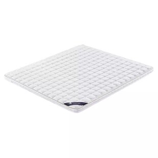 钟垫床垫子偏硬质天然纯粽榈椰棕家用卧室护脊腰出租房20公分厚的