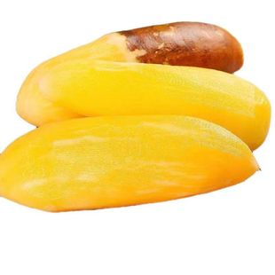 西南特产雪莲果新鲜水果云南黄心天山雪连果整箱包邮优质