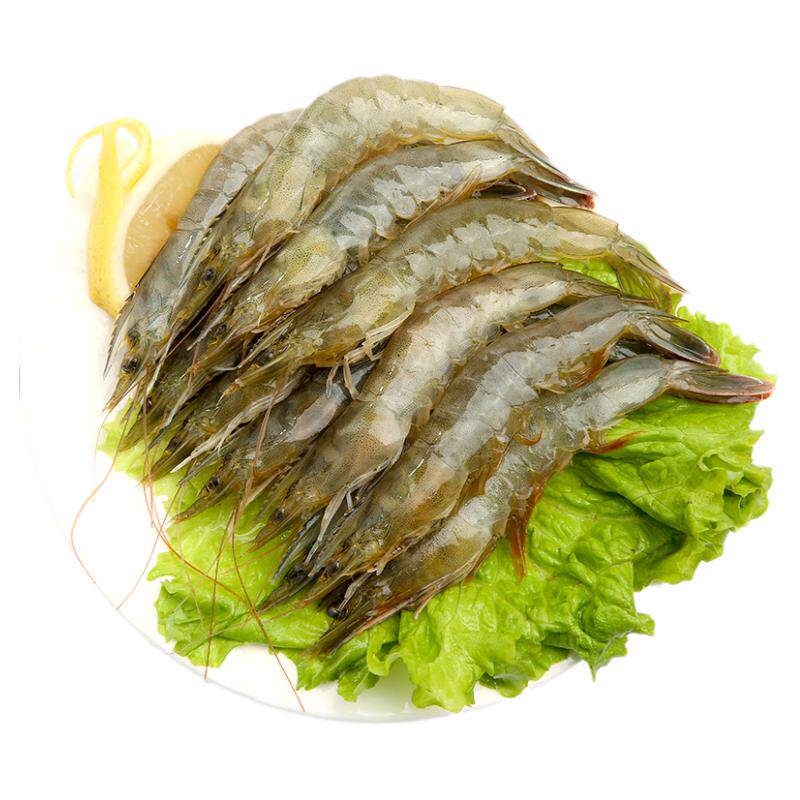 基围虾鲜活超大虾青岛海捕大虾速冻活虾青虾鲜虾新鲜特大海虾海鲜