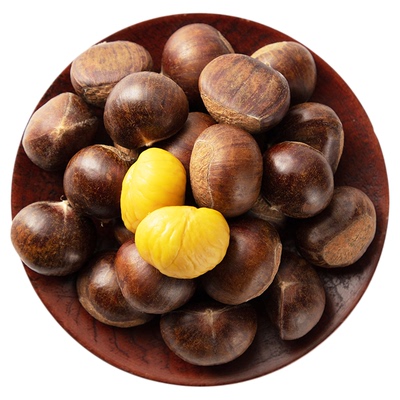 第一森林迁西板栗3113产地直供