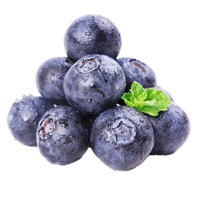 云南高山新鲜花香蓝莓鲜果新鲜水果脆甜当季脆甜爆汁