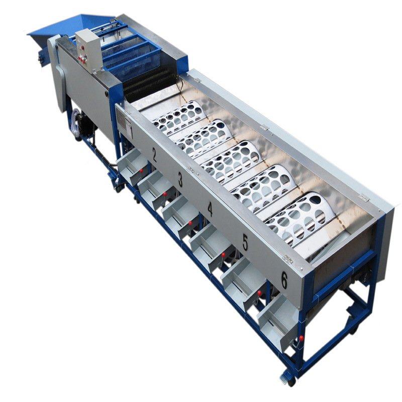 脐橙清洗分选机水果分级机果蔬水洗选果机水果保鲜液喷淋分级机